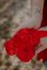 BABY set - ponožky a čelenka - červené